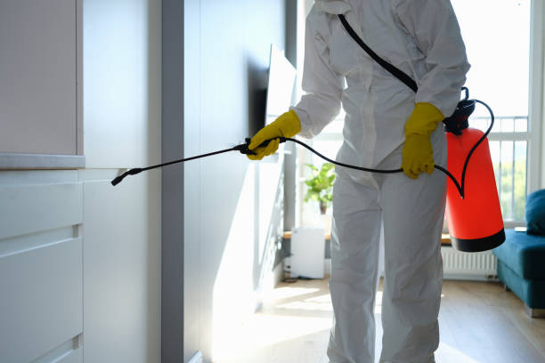Mold Testing and Removal in San Lorenzo, CA