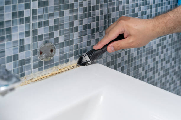 Best Mold Cleaning Services  in San Lorenzo, CA